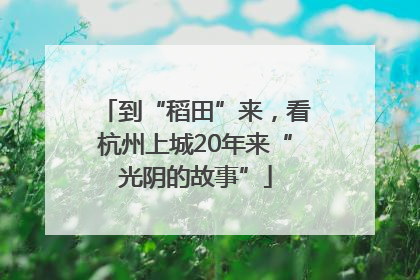 到“稻田”来，看杭州上城20年来“光阴的故事”