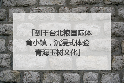 到丰台北粮国际体育小镇，沉浸式体验青海玉树文化