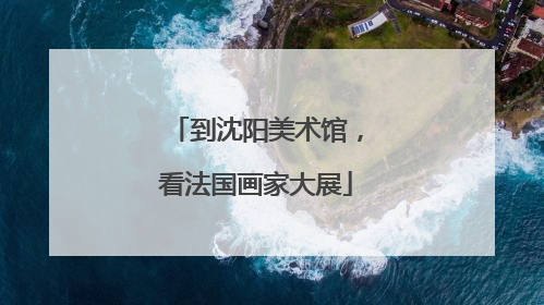 到沈阳美术馆，看法国画家大展
