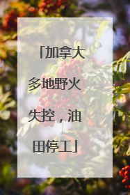 加拿大多地野火失控，油田停工