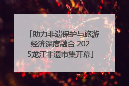 助力非遗保护与旅游经济深度融合 2025龙江非遗市集开幕