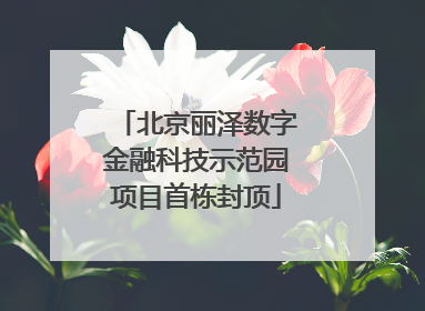 北京丽泽数字金融科技示范园项目首栋封顶