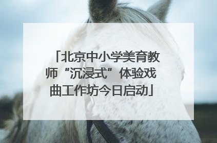 北京中小学美育教师“沉浸式”体验戏曲工作坊今日启动