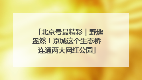 北京号最精彩｜野趣盎然！京城这个生态桥连通两大网红公园