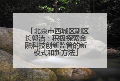 北京市西城区副区长郭洁：积极探索金融科技创新监管的新模式和新方法