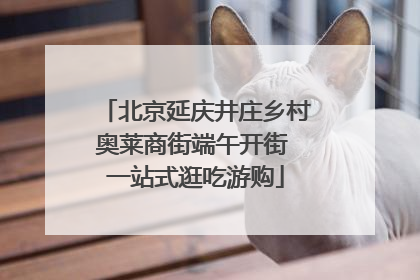 北京延庆井庄乡村奥莱商街端午开街 一站式逛吃游购