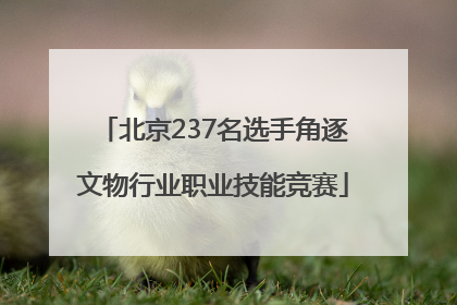 北京237名选手角逐文物行业职业技能竞赛