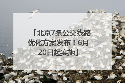 北京7条公交线路优化方案发布！6月20日起实施