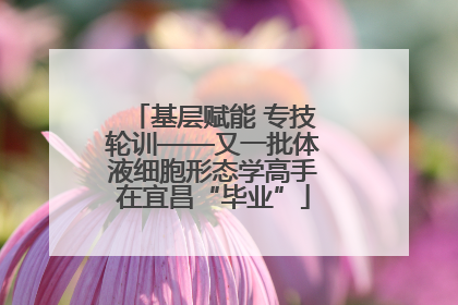基层赋能 专技轮训——又一批体液细胞形态学高手在宜昌“毕业”