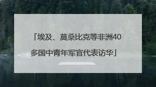 埃及、莫桑比克等非洲40多国中青年军官代表访华