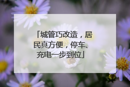 城管巧改造，居民真方便，停车、充电一步到位