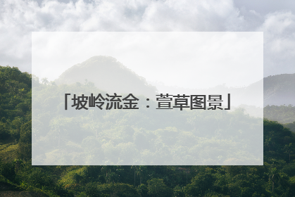 坡岭流金：萱草图景