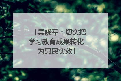吴晓军：切实把学习教育成果转化为惠民实效