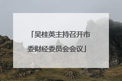 吴桂英主持召开市委财经委员会会议