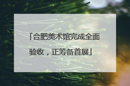 合肥美术馆完成全面验收，正筹备首展