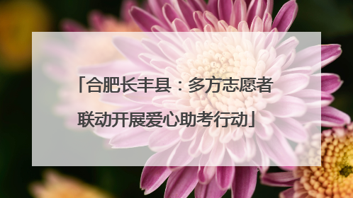 合肥长丰县：多方志愿者联动开展爱心助考行动