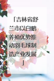 吉林省舒兰市以白鹅养殖优势推动羽毛球制造产业发展