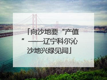 向沙地要“产值”——辽宁科尔沁沙地兴绿见闻