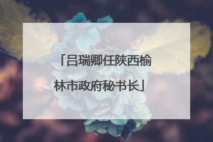 吕瑞卿任陕西榆林市政府秘书长