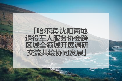 哈尔滨·沈阳两地退役军人服务协会跨区域全领域开展调研交流共绘协同发展