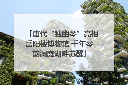 唐代“独幽琴”亮相岳阳楼博物馆 千年琴韵洞庭湖畔苏醒