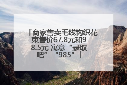商家售卖毛线钩织花束售价67.8元和98.5元 寓意“录取吧”“985”