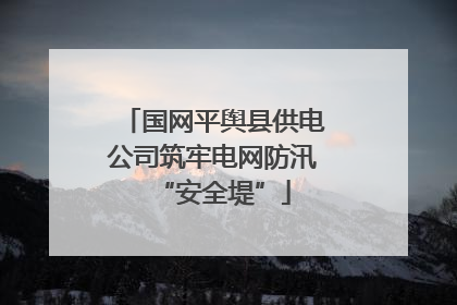 国网平舆县供电公司筑牢电网防汛“安全堤”