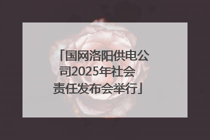 国网洛阳供电公司2025年社会责任发布会举行