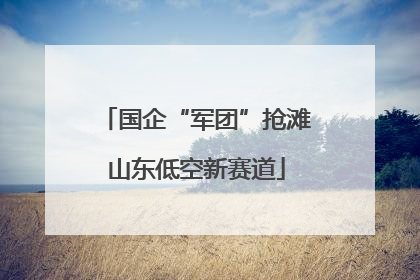 国企“军团”抢滩山东低空新赛道