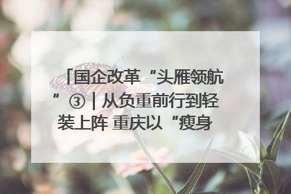 国企改革“头雁领航”③｜从负重前行到轻装上阵 重庆以“瘦身”谋“健体”