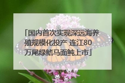 国内首次实现深远海养殖规模化投产 连江80万尾绿鳍马面鲀上市