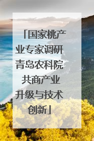 国家桃产业专家调研青岛农科院 共商产业升级与技术创新