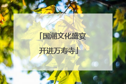 国潮文化盛宴开进万寿寺
