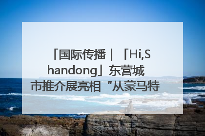 国际传播｜「Hi,Shandong」东营城市推介展亮相“从蒙马特到加里波第”文化节