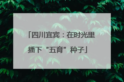 四川宜宾：在时光里播下“五育”种子