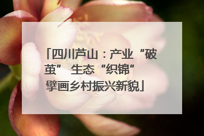 四川芦山：产业“破茧” 生态“织锦” 擘画乡村振兴新貌