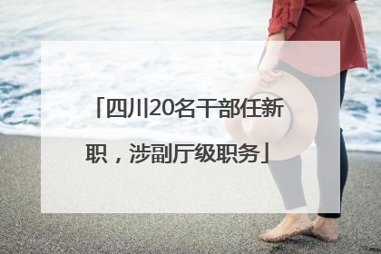 四川20名干部任新职，涉副厅级职务