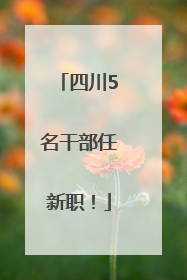 四川5名干部任新职！