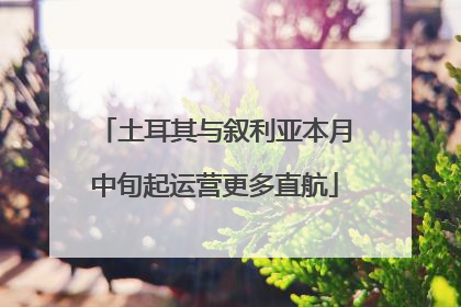 土耳其与叙利亚本月中旬起运营更多直航