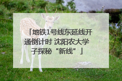 地铁1号线东延线开通倒计时 沈阳农大学子探秘“新线”