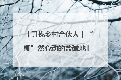 寻找乡村合伙人｜“棚”然心动的盐碱地