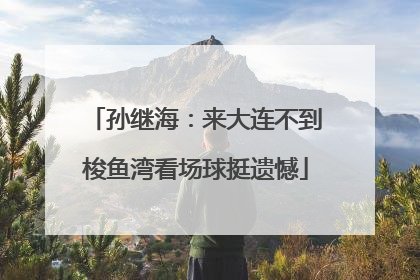 孙继海：来大连不到梭鱼湾看场球挺遗憾