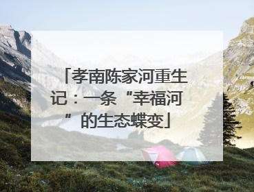 孝南陈家河重生记：一条“幸福河”的生态蝶变