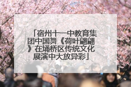 宿州十一中教育集团中国舞《荷叶翩翩》在埇桥区传统文化展演中大放异彩