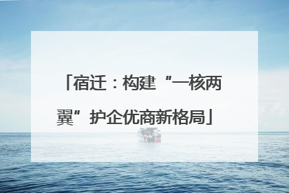 宿迁：构建“一核两翼”护企优商新格局