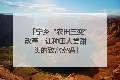 宁乡“农田三变”改革：让种田人尝甜头的致富密码
