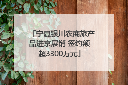 宁夏银川农商旅产品进京展销 签约额超3300万元
