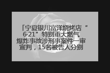 宁夏银川富洋烧烤店“6·21”特别重大燃气爆炸事故涉刑事案件一审宣判，15名被告人分别判刑六年至一年不等