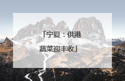 宁夏：供港蔬菜迎丰收
