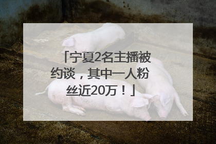 宁夏2名主播被约谈，其中一人粉丝近20万！